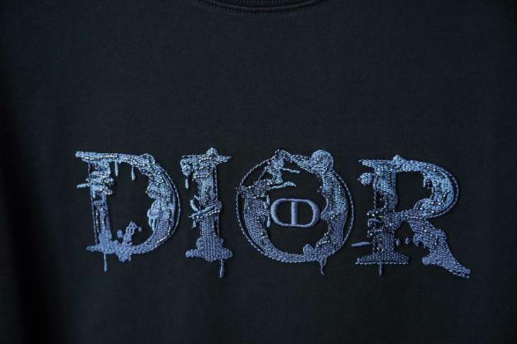 Dior T Shirts Short _SKUDiorS-XLhgntx2315765